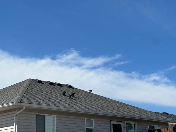 Best Asphalt Shingles Roofing  in Lauderhill, FL